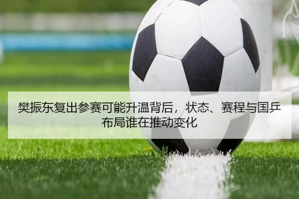 樊振东复出参赛可能升温背后，状态、赛程与国乒布局谁在推动变化